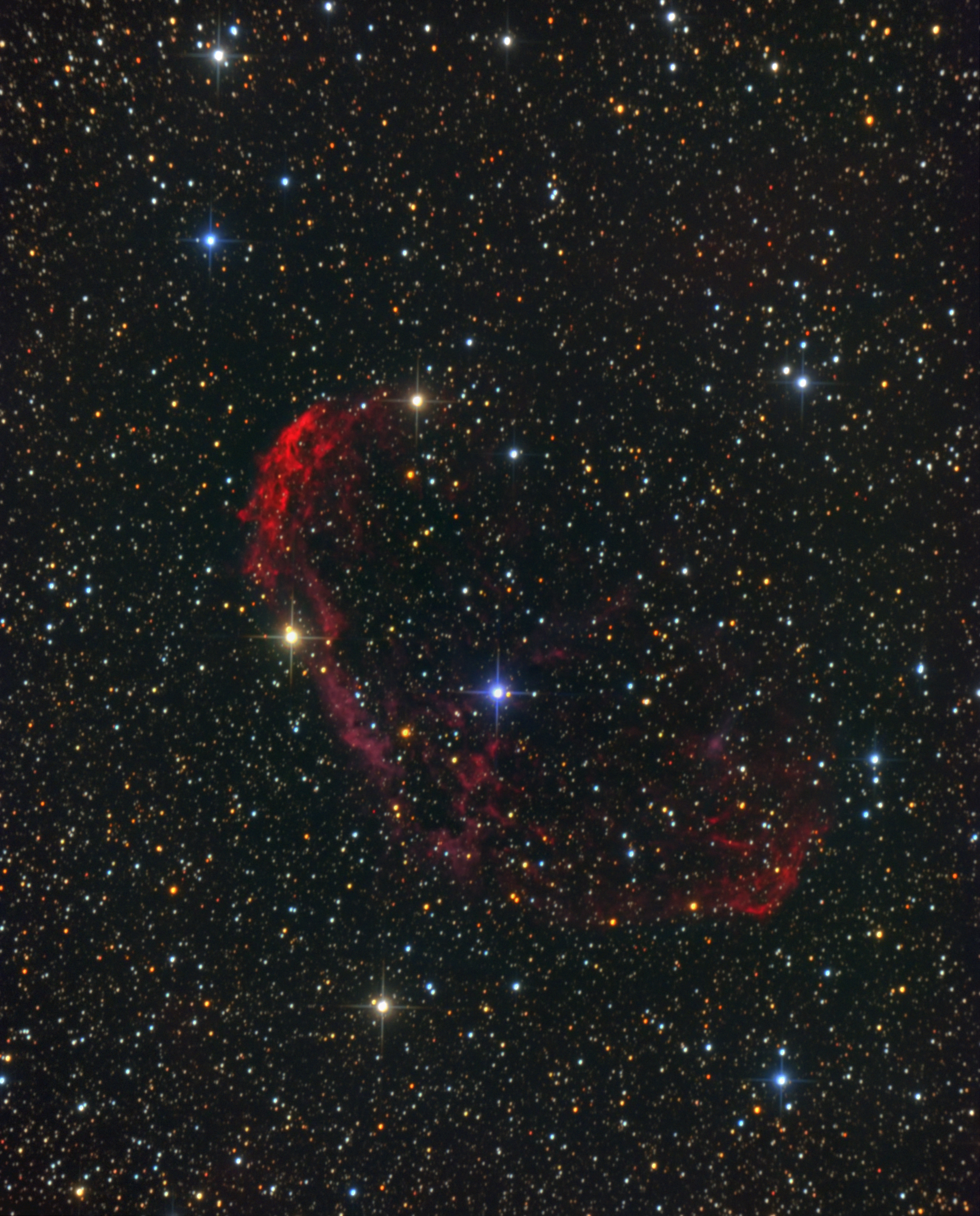 Медуза IC 443